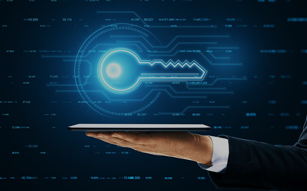 IP Ownership